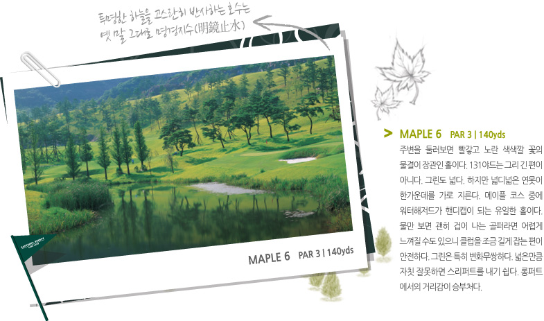 MAPLE 6 | PAR 3 | 140yds
주변을 둘러보면 빨갛고 노란 색색깔 꽃의 물결이 장관인 홀이다. 131야드는 그리 긴 편이 아니다. 그린도 넓다. 하지만 넓디넓은 연못이 한가운데를 가로 지른다. 메이플 코스중에 워터해저드가 핸드캡이 되는 유일한 홀이다. 물만 보면 괜히 겁이 나는 골퍼라면 어렵게 느껴질 수도 있으니 클럽을 조금 길게 잡는 편이 안전하다. 그린은 특히 변화무쌍하다. 넓은만큼 자칫 잘못하면 스리퍼트를 내기 쉽다. 롱퍼트에서의 거리감이 승부처다.