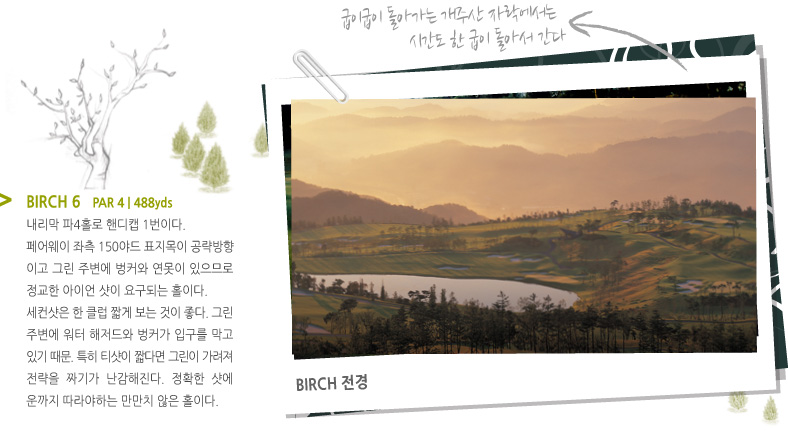 BIRCH 6 | PAR 4 | 488yds
내리막 파4홀로 핸디캡 1번이다. 페어웨이 좌측 150야드 표지목이 공략방향이고 그린 주변에 벙커와 연못이 있으므로 정교한 아이언 샷이 요구되는 홀이다. 세컨샷은 한 클럽 짧게 보는 것이 좋다. 그린 주변에 워터 해저드와 벙커가 입구를 막고 있기 때문. 특히 티샷이 짧다면 그린이 가려져 전략을 짜기가 난감해진다. 정확한 샷에 온까지 따라야하는 만만치 않은 홀이다.