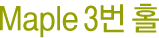 Maple 3번홀